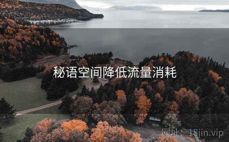 秘语空间降低流量消耗
