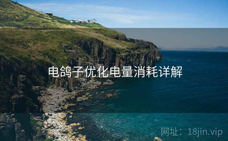 电鸽子优化电量消耗详解