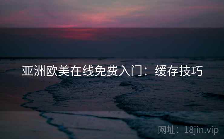 亚洲欧美在线免费入门:缓存技巧 亚洲欧美在线免费入门:缓存技巧