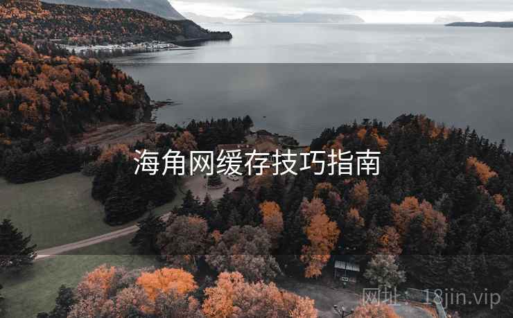 海角网缓存技巧指南 海角网缓存技巧指南