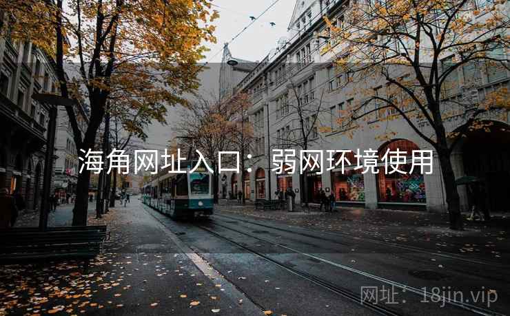 海角网址入口:弱网环境使用 海角网址入口:弱网环境使用