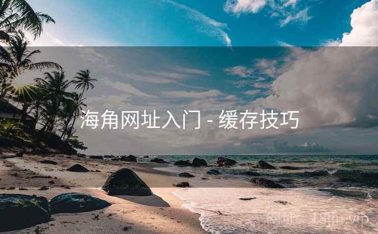 海角网址入门 - 缓存技巧 海角网址入门 - 缓存技巧